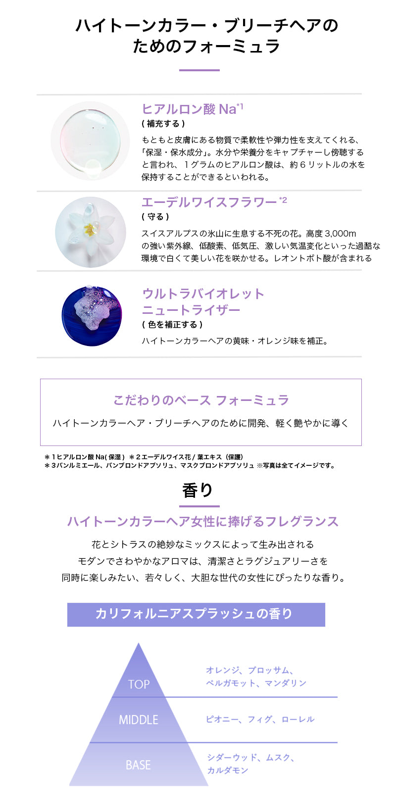 BL バン ルミエール 250ml〜 - 【公式】ALBUM ONLINE STORE（アルバム オンラインストア）