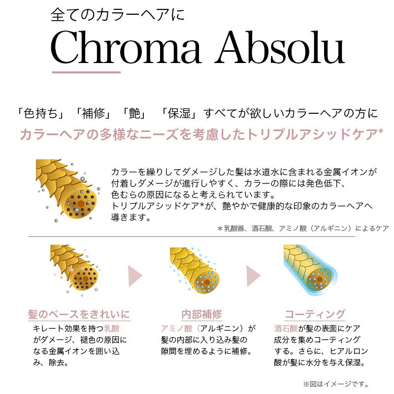 日本ロレアルCA バン クロマプロテクト 500ml (レフィル)シャンプー - アルバム オンラインストア