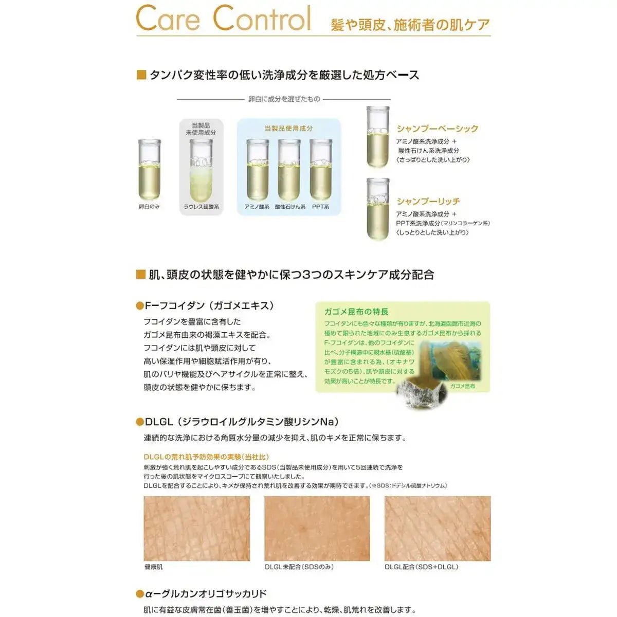 フィヨーレFプロテクト リッチタイプ ヘアシャンプー 1000ml(レフィル) + ヘアマスク1000ml(レフィル)セット商品 - アルバム オンラインストア