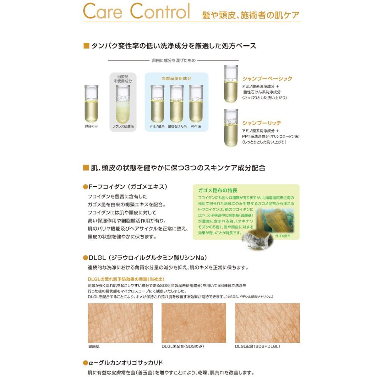 フィヨーレF.プロテクト ヘアシャンプー ベーシック 1000ml（レフィル）シャンプー - アルバム オンラインストア
