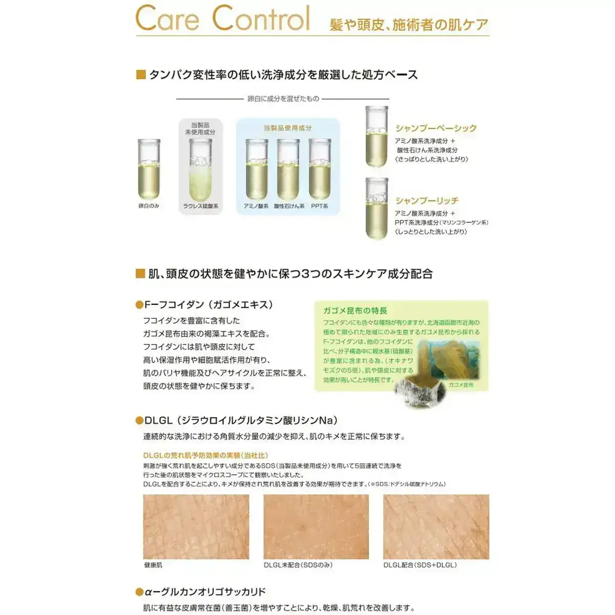 フィヨーレF.プロテクト ヘアシャンプー ベーシック 1000ml（レフィル）シャンプー - アルバム オンラインストア