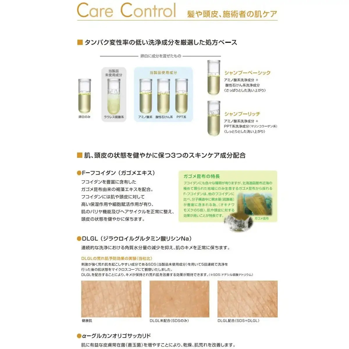 フィヨーレFプロテクト ヘアシャンプー リッチタイプ 300ml〜シャンプー - アルバム オンラインストア