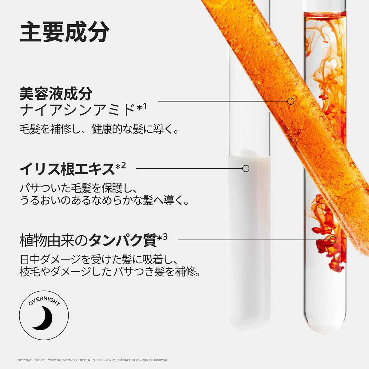 ケラスターゼ デイアンドナイト セット（ユイル クロノロジスト N 75mL＋マジック ナイト セラム R 30mL）2026ホリデー限定
