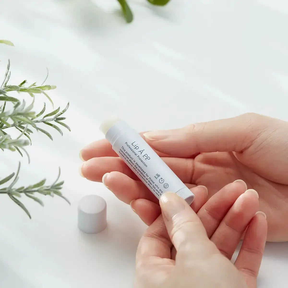 カエタステクノロジーLip A P.P.（リップエープロフェッショナルプロテクション）リップクリーム - アルバム オンラインストア