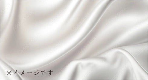 KINUJO Silky jewel brush (シルキー ジュエル ブラシ)