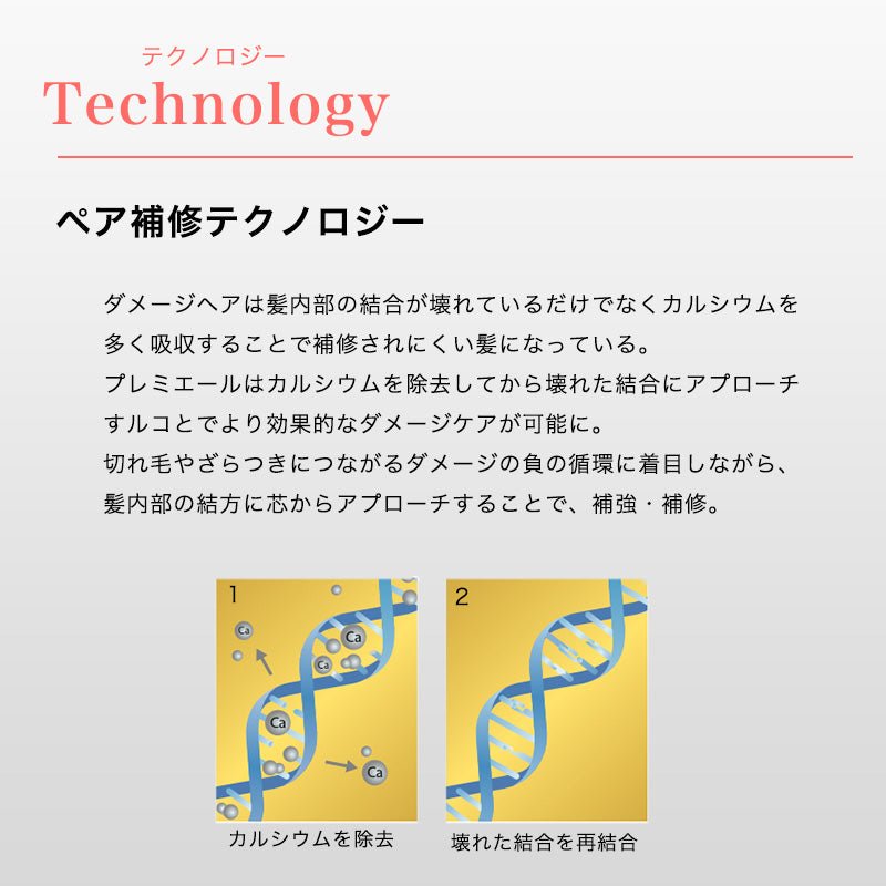 日本ロレアルPM フォンダンフルイドリペアトリートメント - アルバム オンラインストア