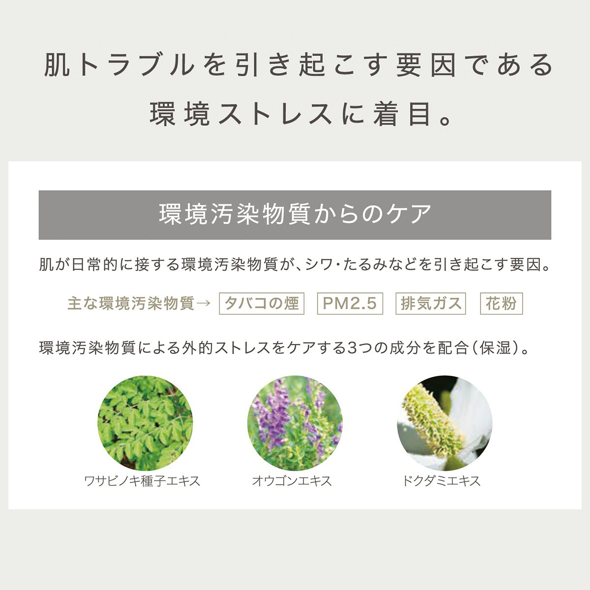 フィヨーレファシナート スキンウォッシュフォーム洗顔料 - アルバム オンラインストア