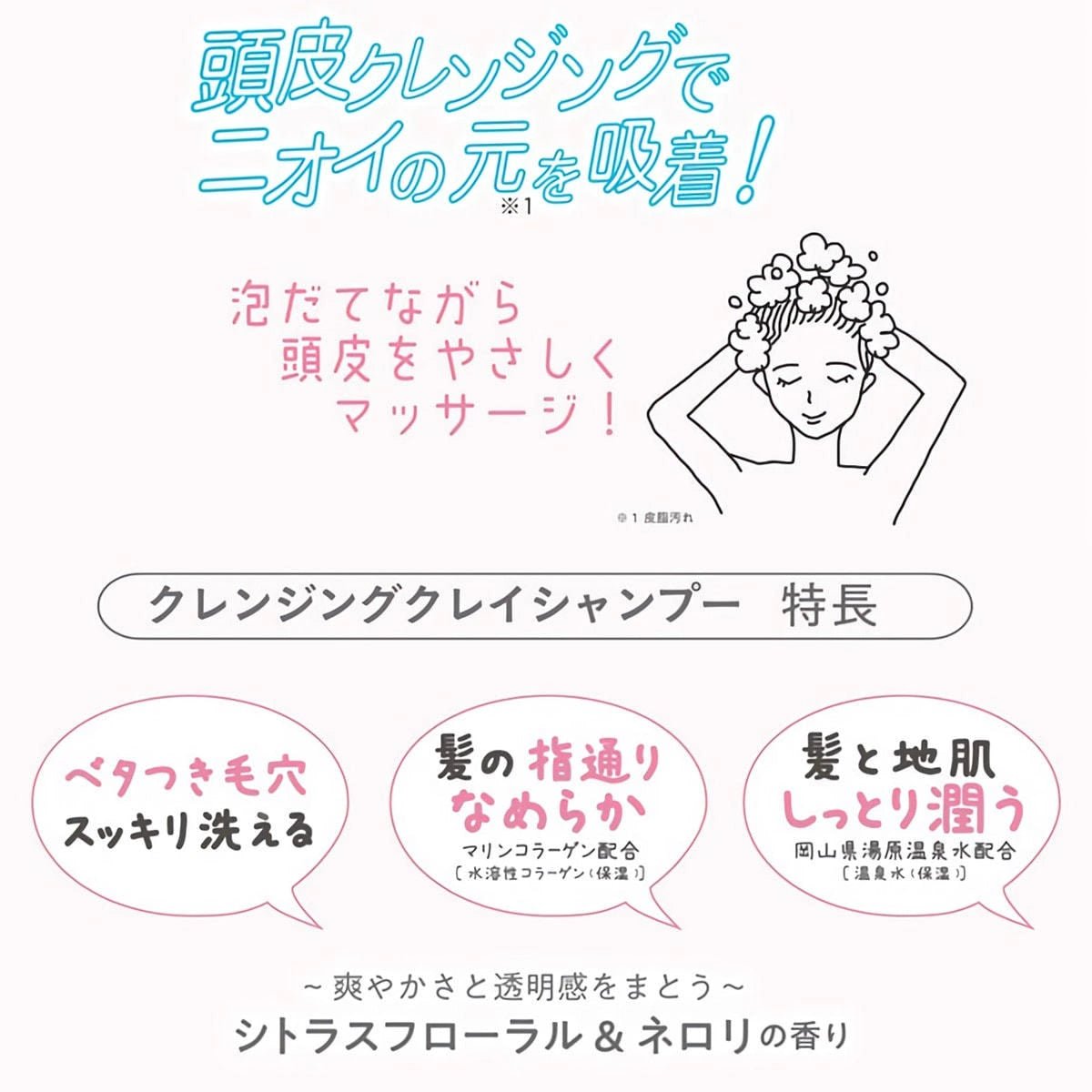 アンドナインサロンレディ 密着ツヤぷる クレイヘアマスクシャンプー - アルバム オンラインストア