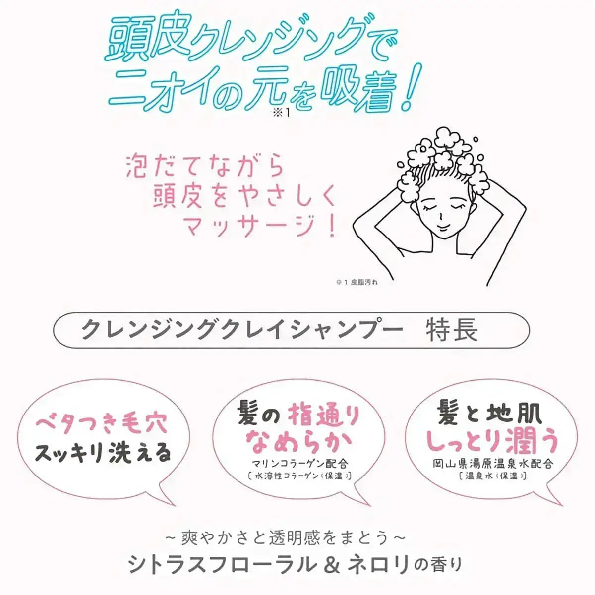 アンドナインサロンレディ 密着ツヤぷる クレイヘアマスクシャンプー - アルバム オンラインストア