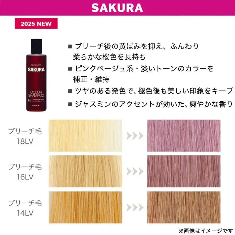 フィヨーレフィヨーレ クオルシア カラーシャンプー サクラシャンプー - アルバム オンラインストア