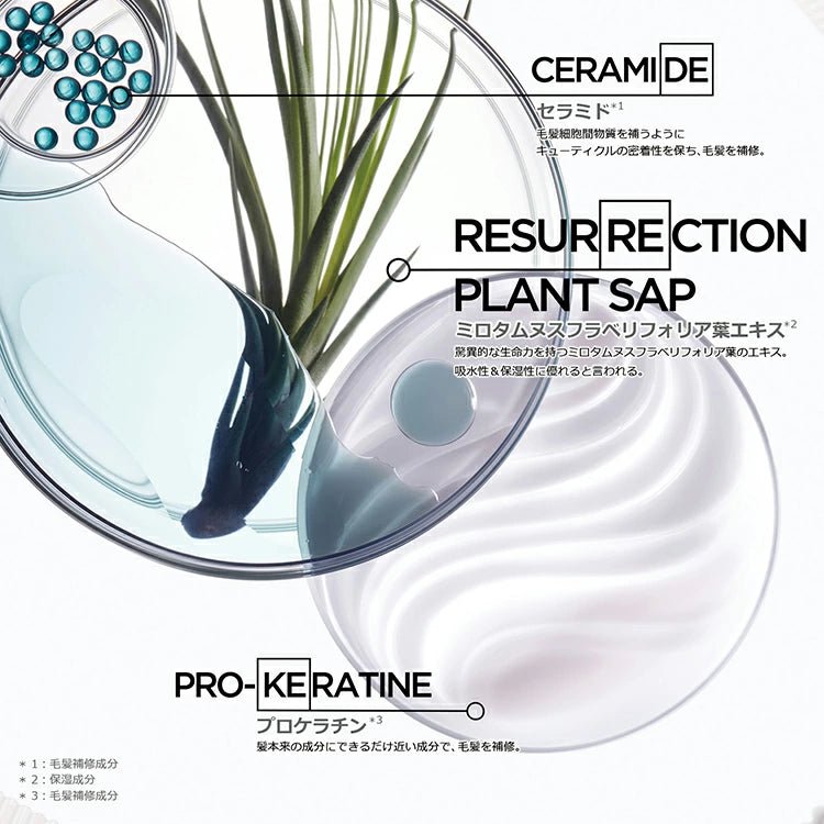 日本ロレアルRE バン ド フォルス N 500ml (レフィル)シャンプー - アルバム オンラインストア