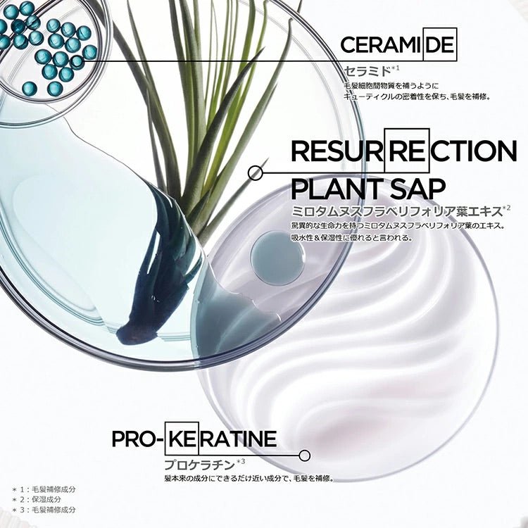 日本ロレアルRE マスク ドフォルスマスク - アルバム オンラインストア