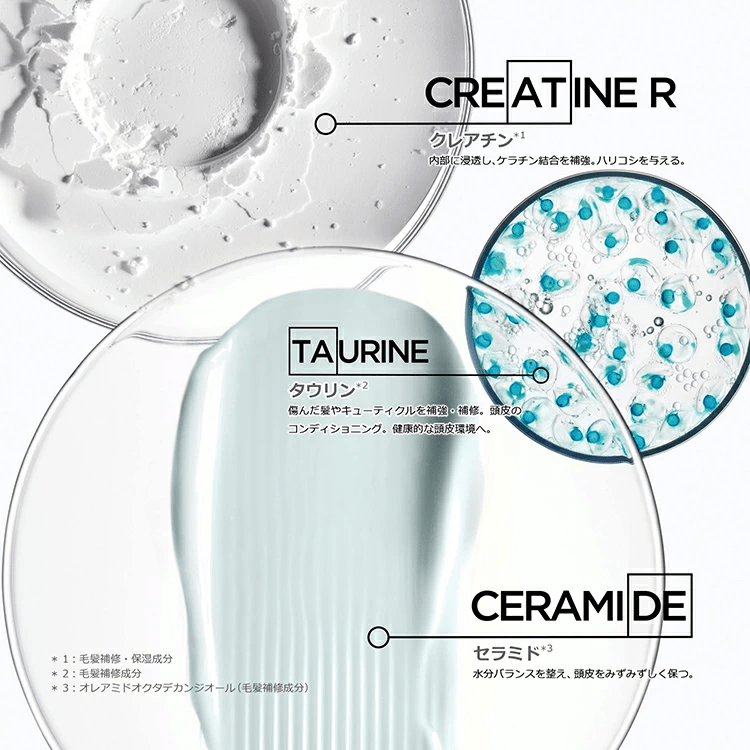 日本ロレアルRE バン エクステンショニストシャンプー - アルバム オンラインストア