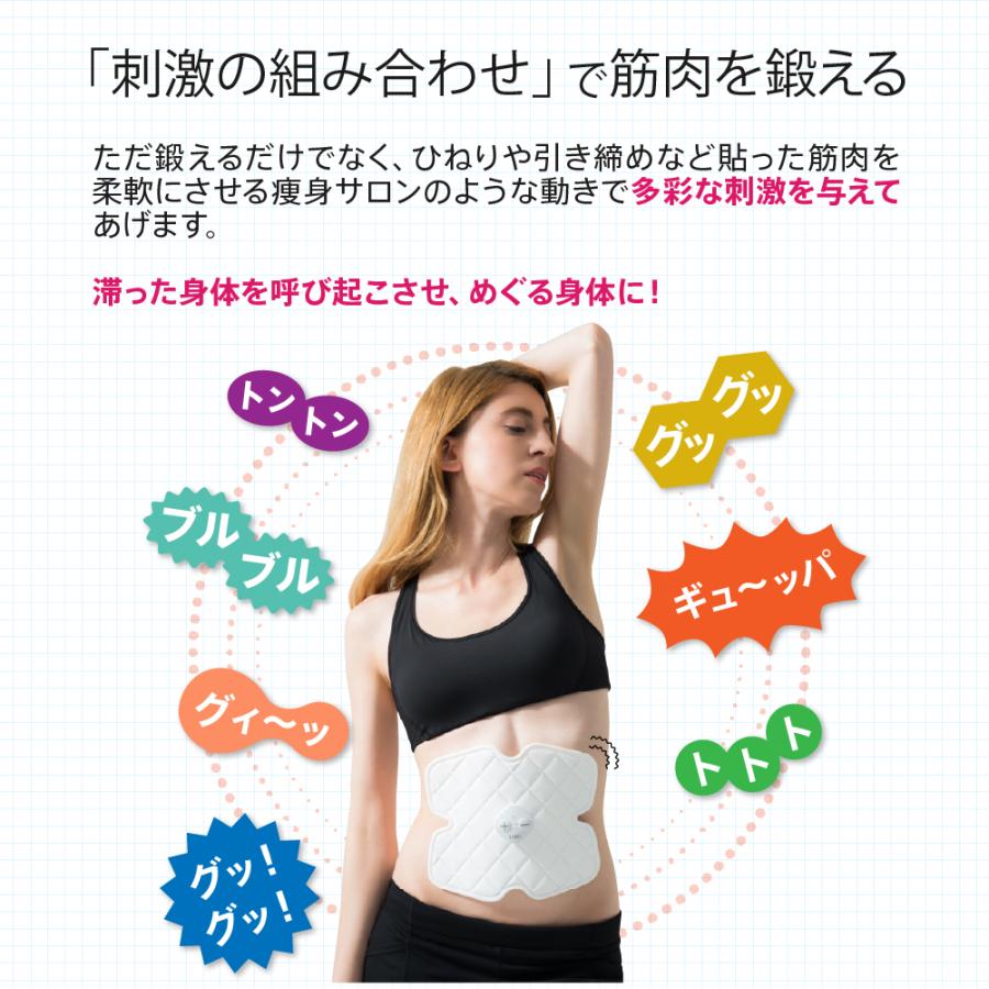 ウイルエーSLIMPAD FIT（スリムパッド フィット）マッサージ機 - アルバム オンラインストア