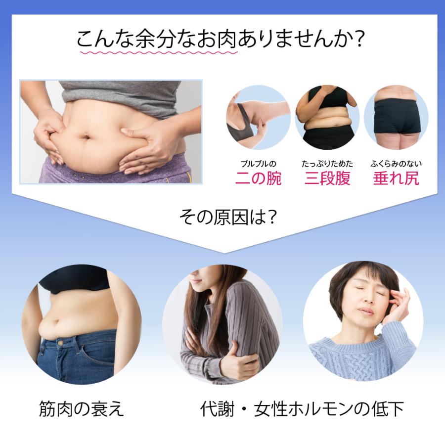 ウイルエーSLIMPAD FIT（スリムパッド フィット）マッサージ機 - アルバム オンラインストア