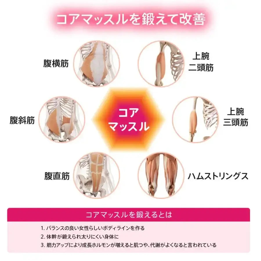 ウイルエーSLIMPAD FIT（スリムパッド フィット）マッサージ機 - アルバム オンラインストア