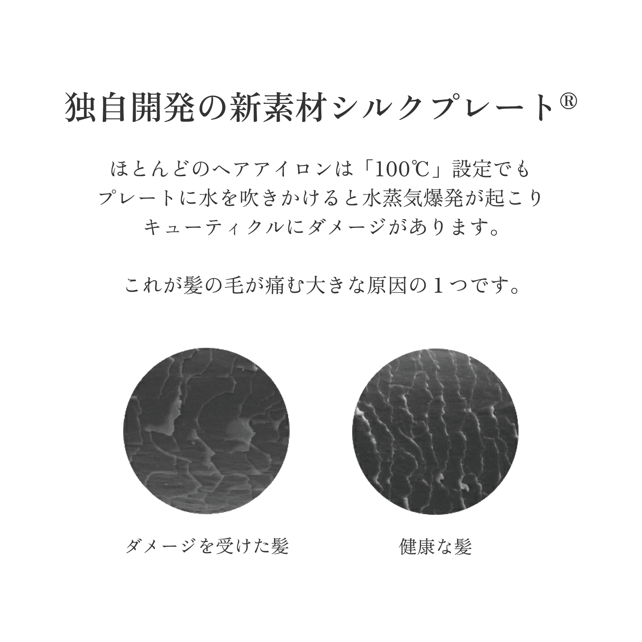 株式会社KINUJOspin & curl SILK PLATE 自動巻きカールアイロン ホワイトヘアアイロン - アルバム オンラインストア