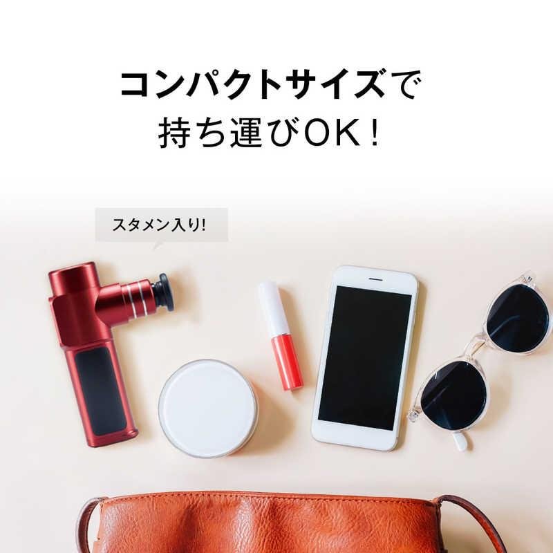 セブンウェイブWAVEWAVE リリースガン レッドマッサージ機 - アルバム オンラインストア